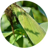 富联娱乐-妄想照进现实,致力成就将来!