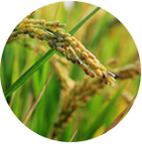 富联娱乐-妄想照进现实,致力成就将来!