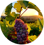 富联娱乐-妄想照进现实,致力成就将来!