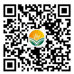 富联娱乐-妄想照进现实,致力成就将来!